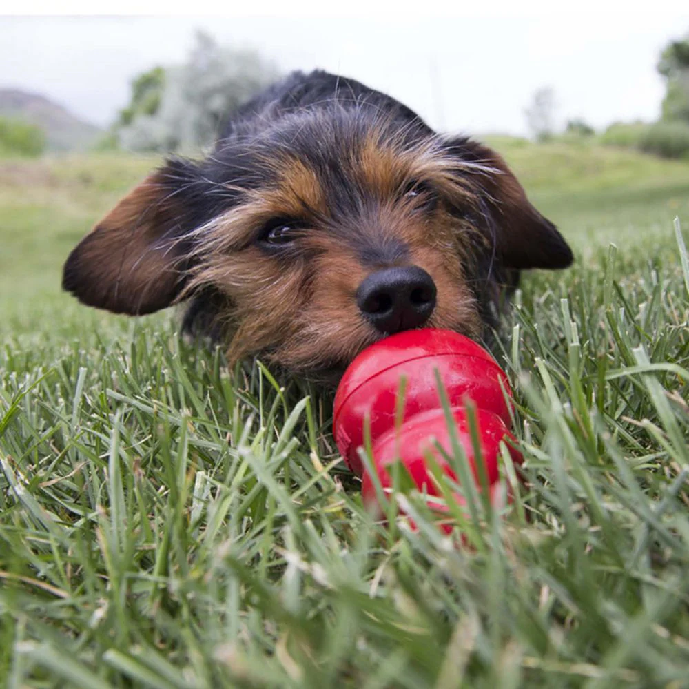 Kong Liver Easy Treat for Dogs - Image 3