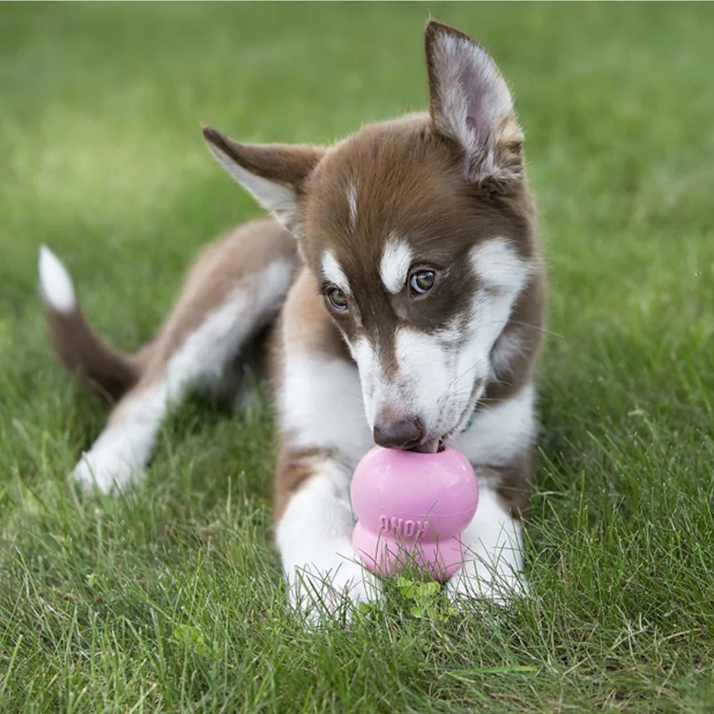 Kong Puppy Easy Treat - Image 3