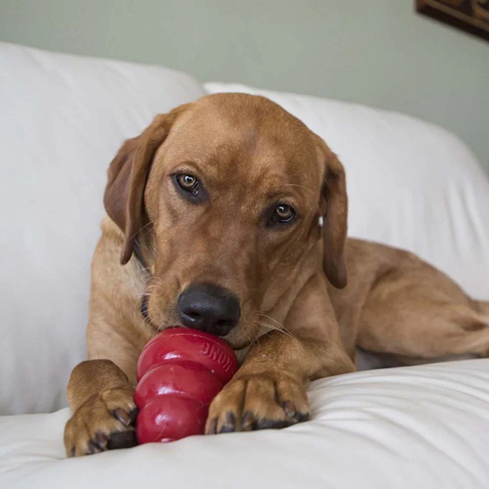 Kong Stuff'n Snacks Liver Recipe Dog Treats - Image 3