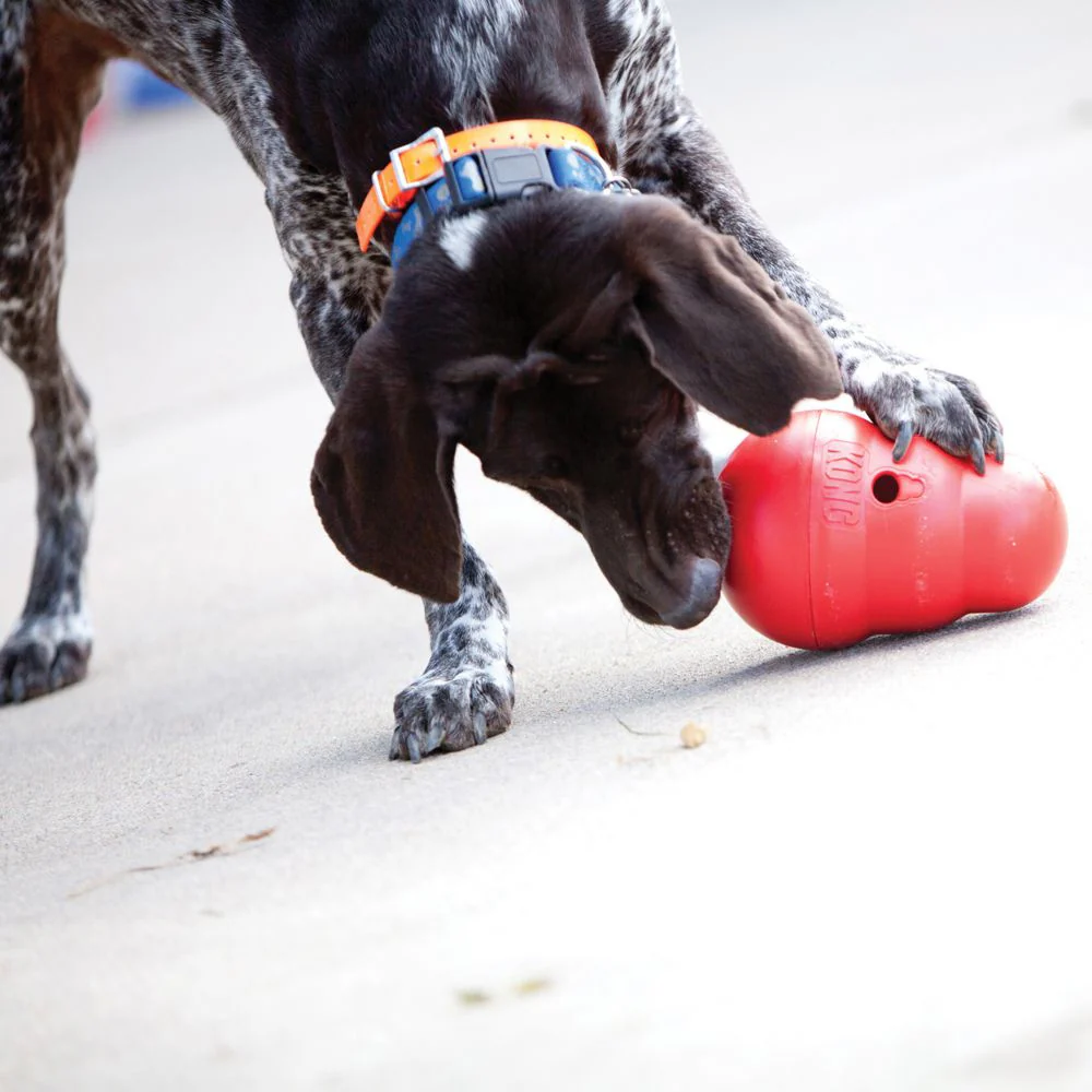 Kong Wobbler Treat Ball - Image 3