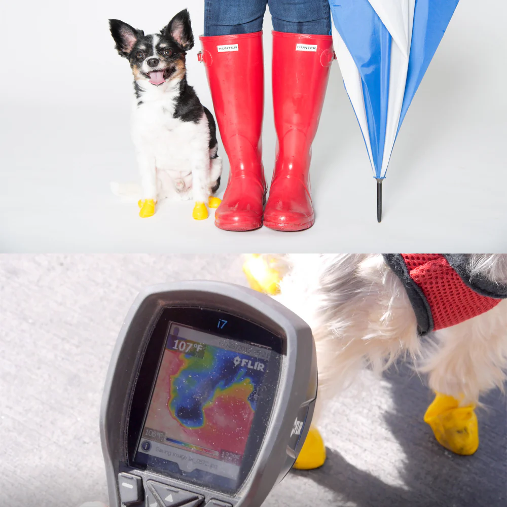Pawz Black Dog Boots - Image 9