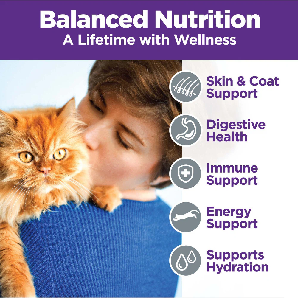 Wellness Complete Health Chicken & Turkey Pate Favorites Variety Pack - Image 3
