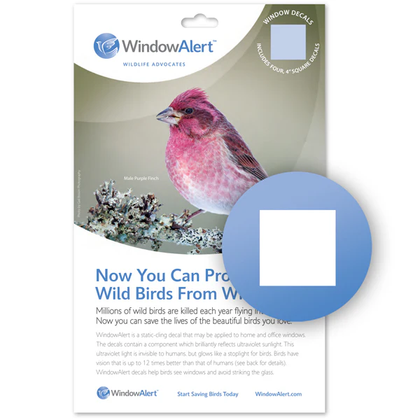 WindowAlert™ - Image 3